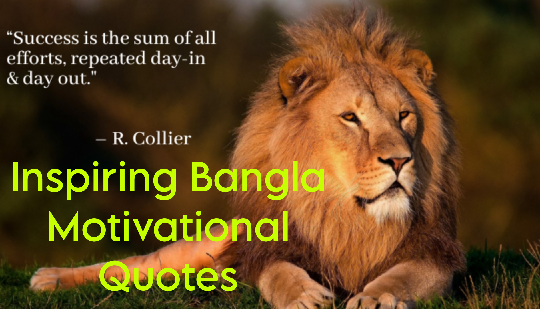 Inspiring Bangla Motivational Quotes for Success