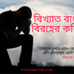 বিখ্যাত বাংলা বিরহের কবিতা
